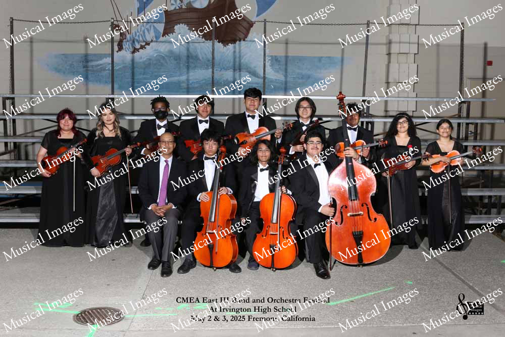 Musical Images